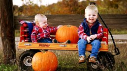 Your Fall Photos 2018