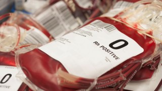 U.S. Moves Toward Dropping Ban on Gay Blood Donations