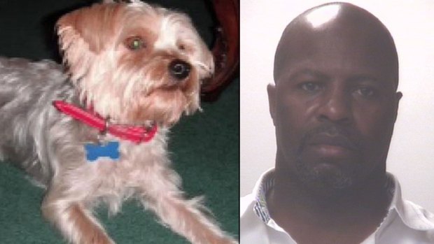 [DFW] Mail Carrier Turns Himself In, Charged With Animal Cruelty