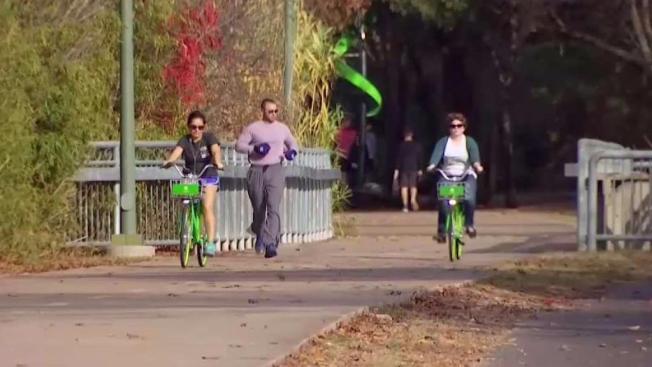 more dallas bike lanes