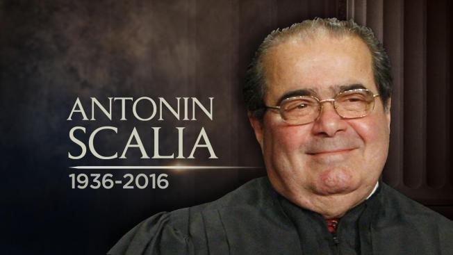 Image result for scalia images