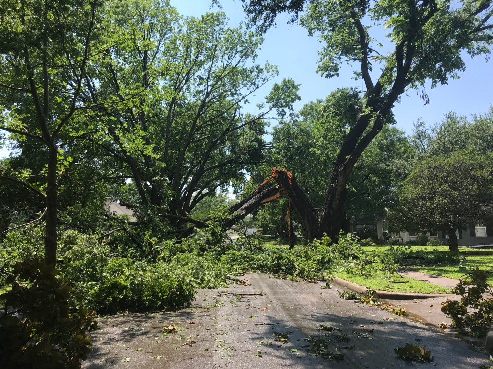 druid lane storm