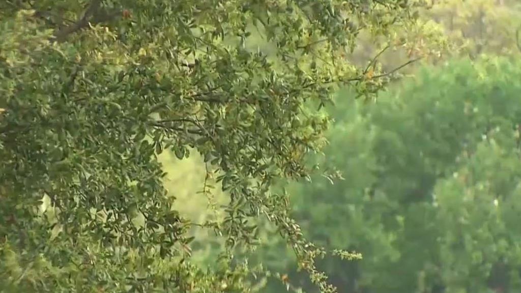 Try Treating Allergy Symptoms at Night