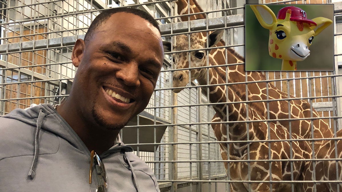 Rangers to Honor Beltre, the Giraffe, With Bobblehead
