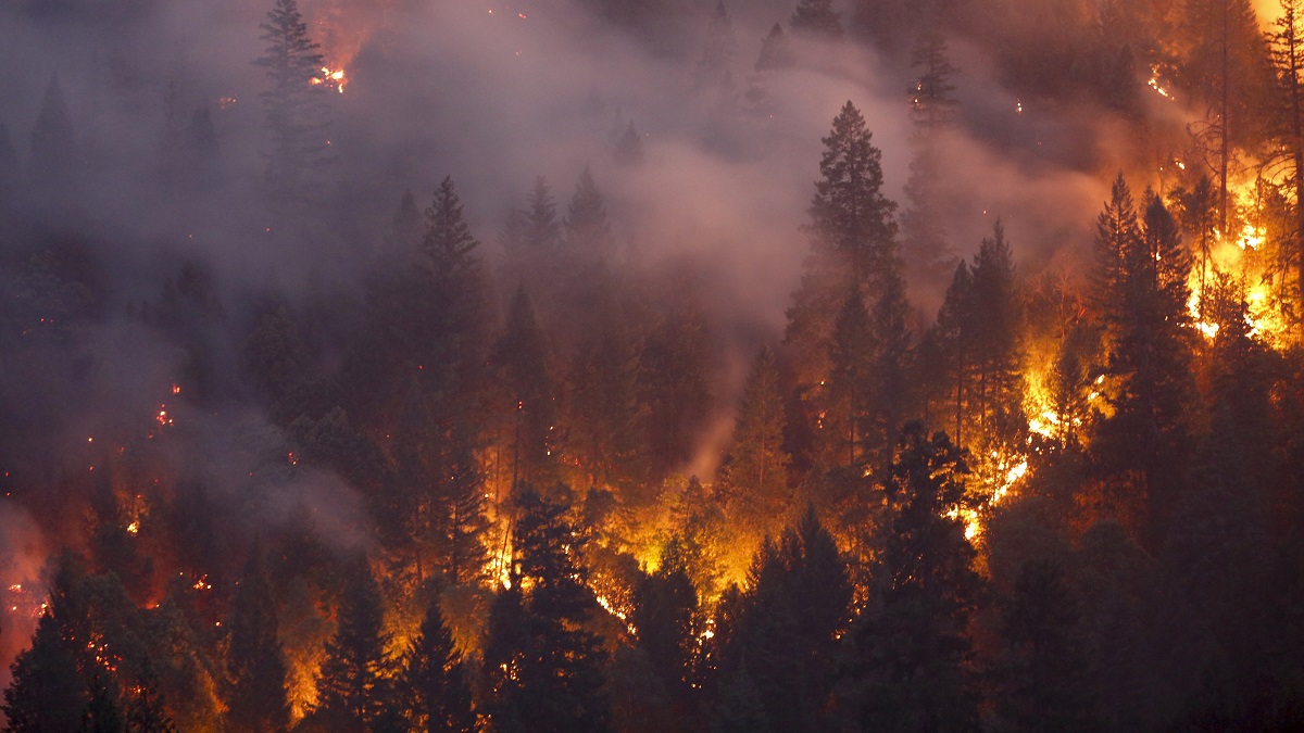 DFW Firefighters to Fight California Wildfires