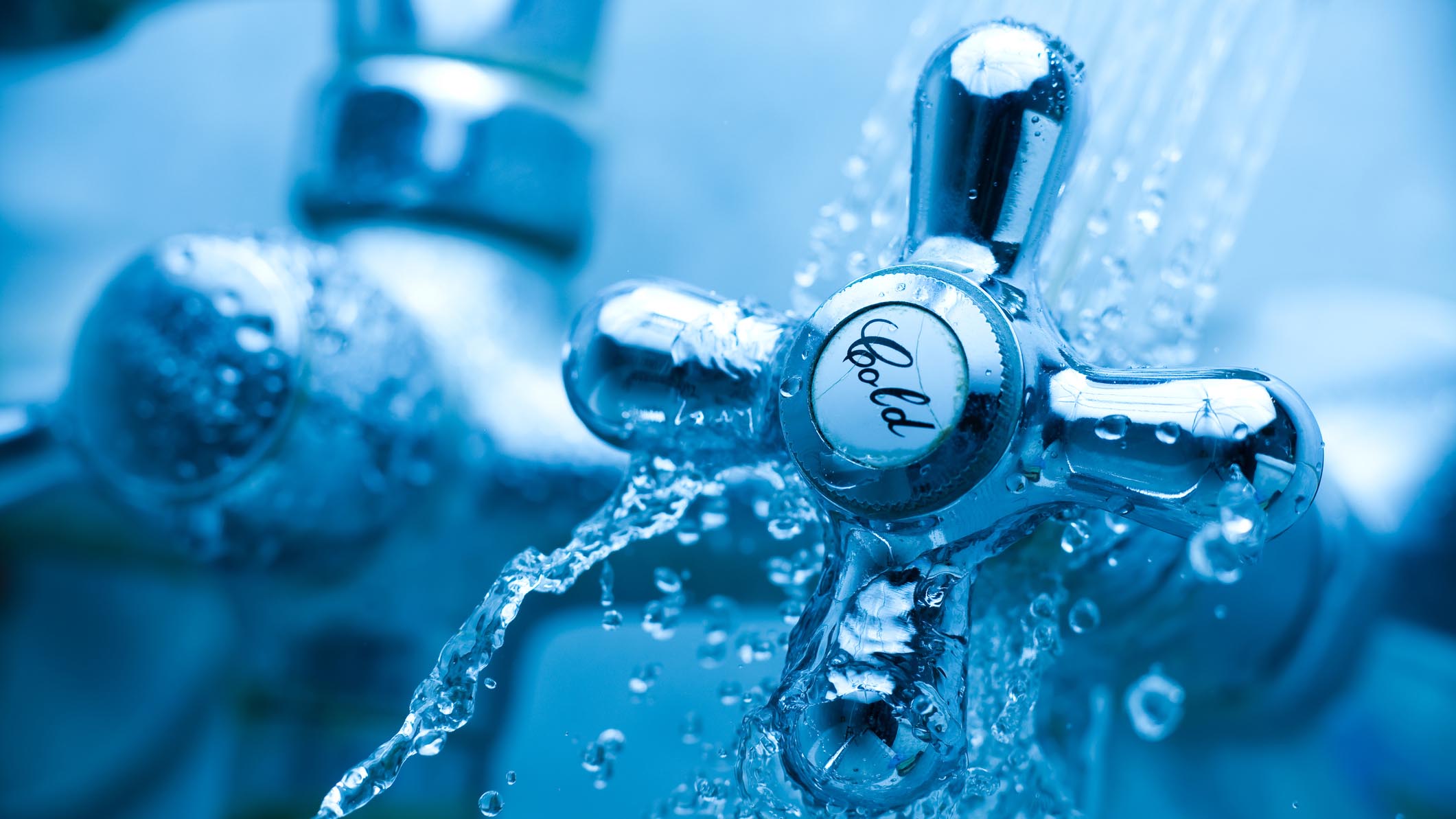 Some Simple Steps Can Help Prevent Frozen Pipes, Plants