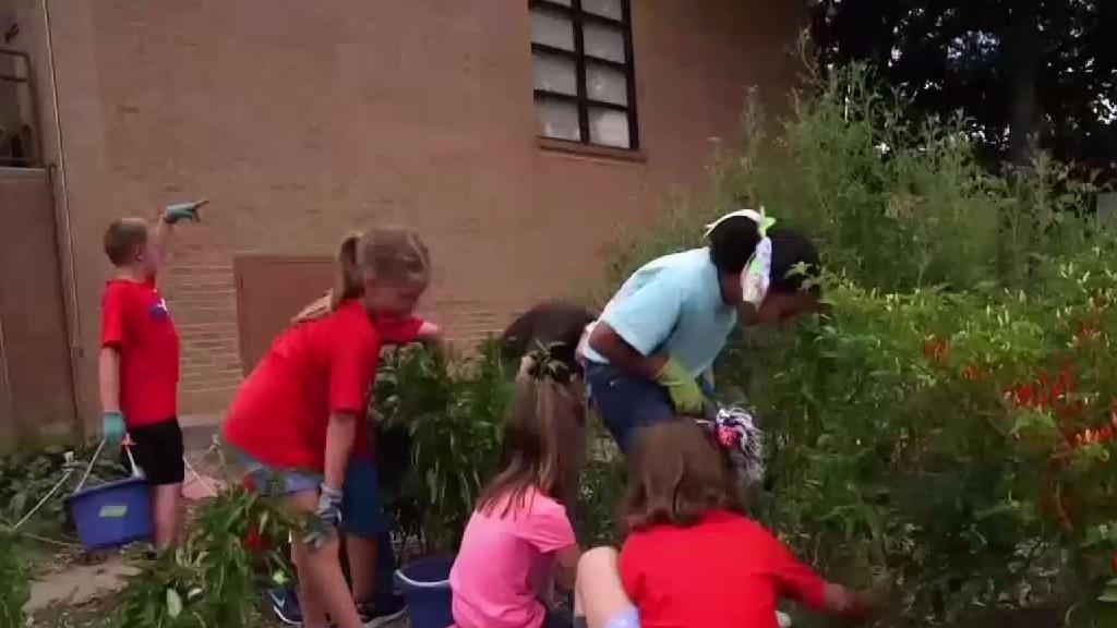 Dallas Elementary Teaches Kids How to Grow Fruits and Vegetables