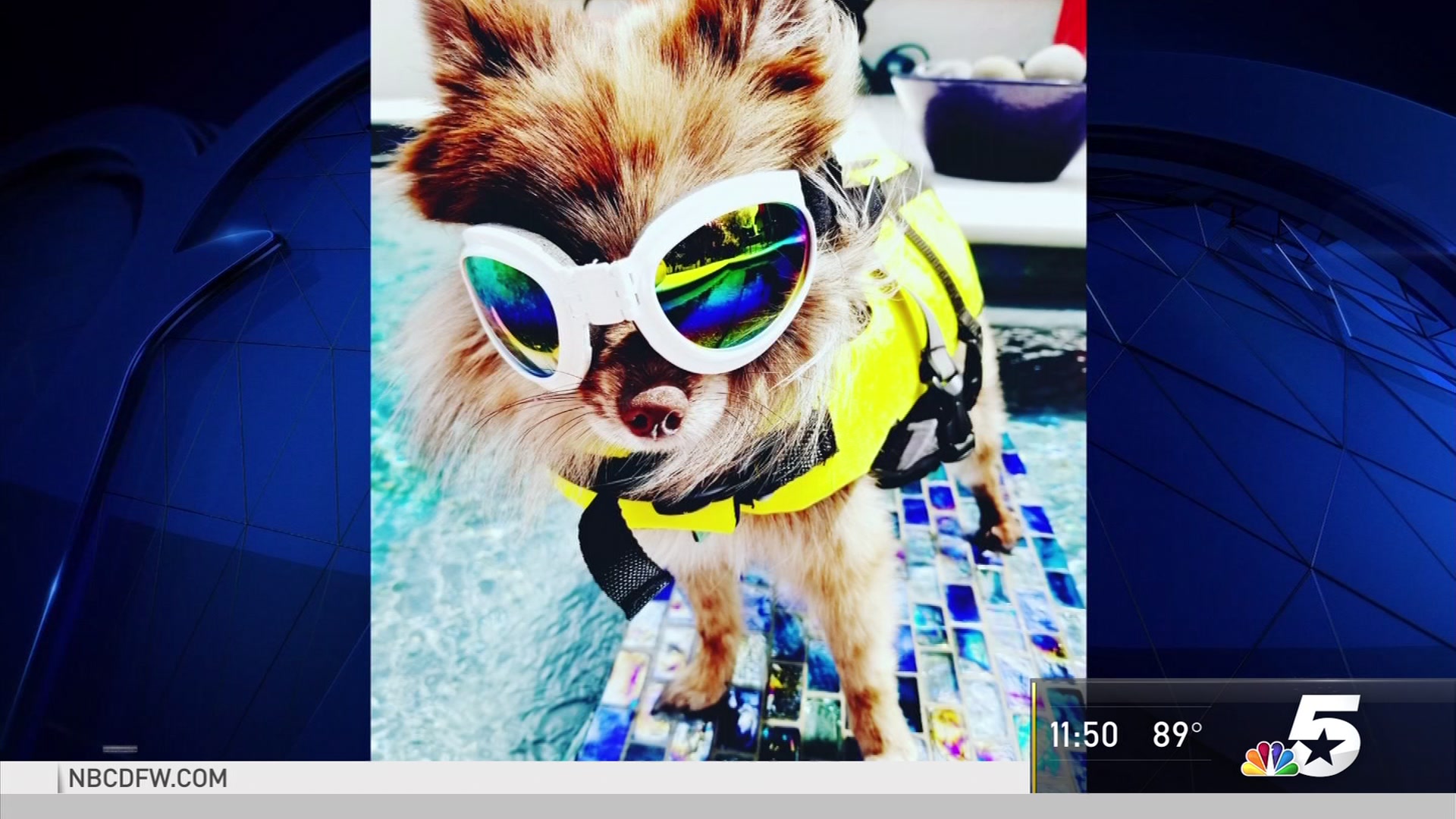 Dog Days of Summer - Aug. 31, 2018