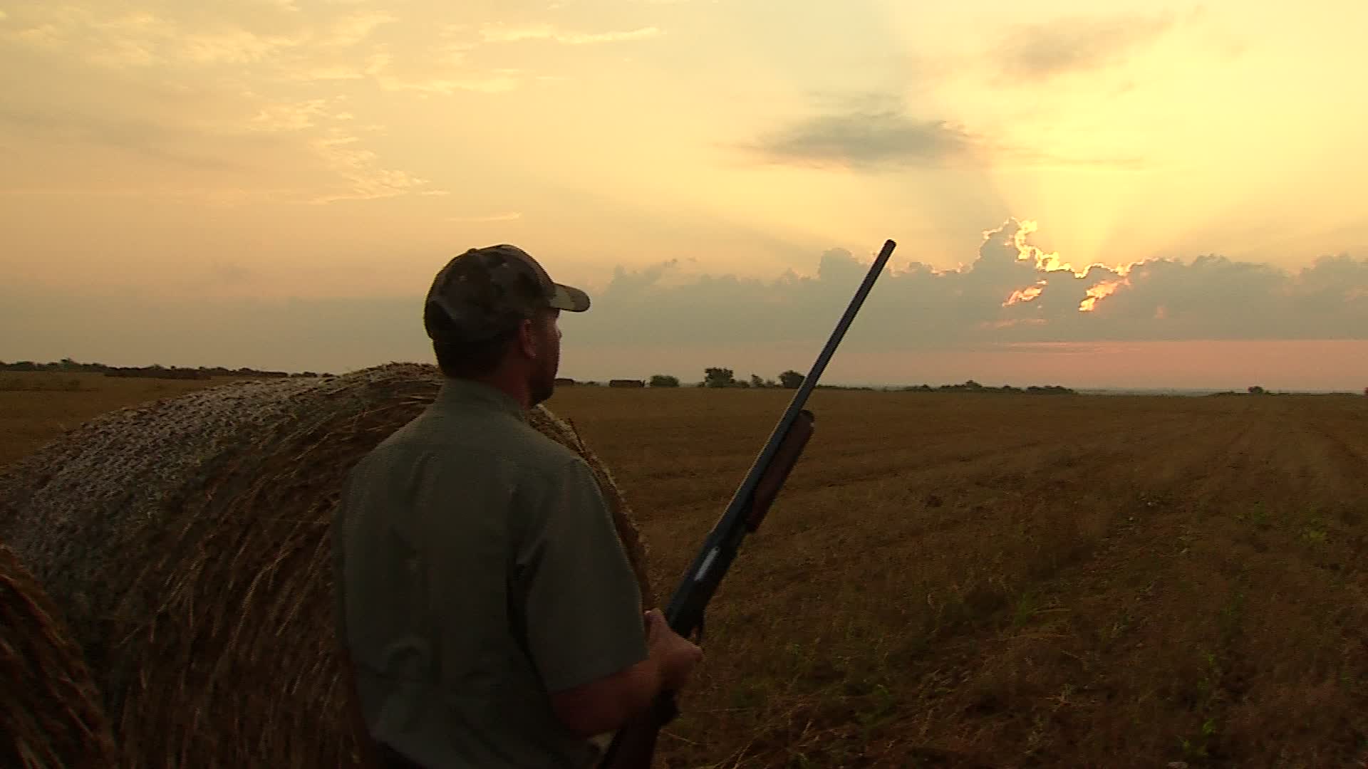 Dove Hunting Season Opens Saturday in North Texas