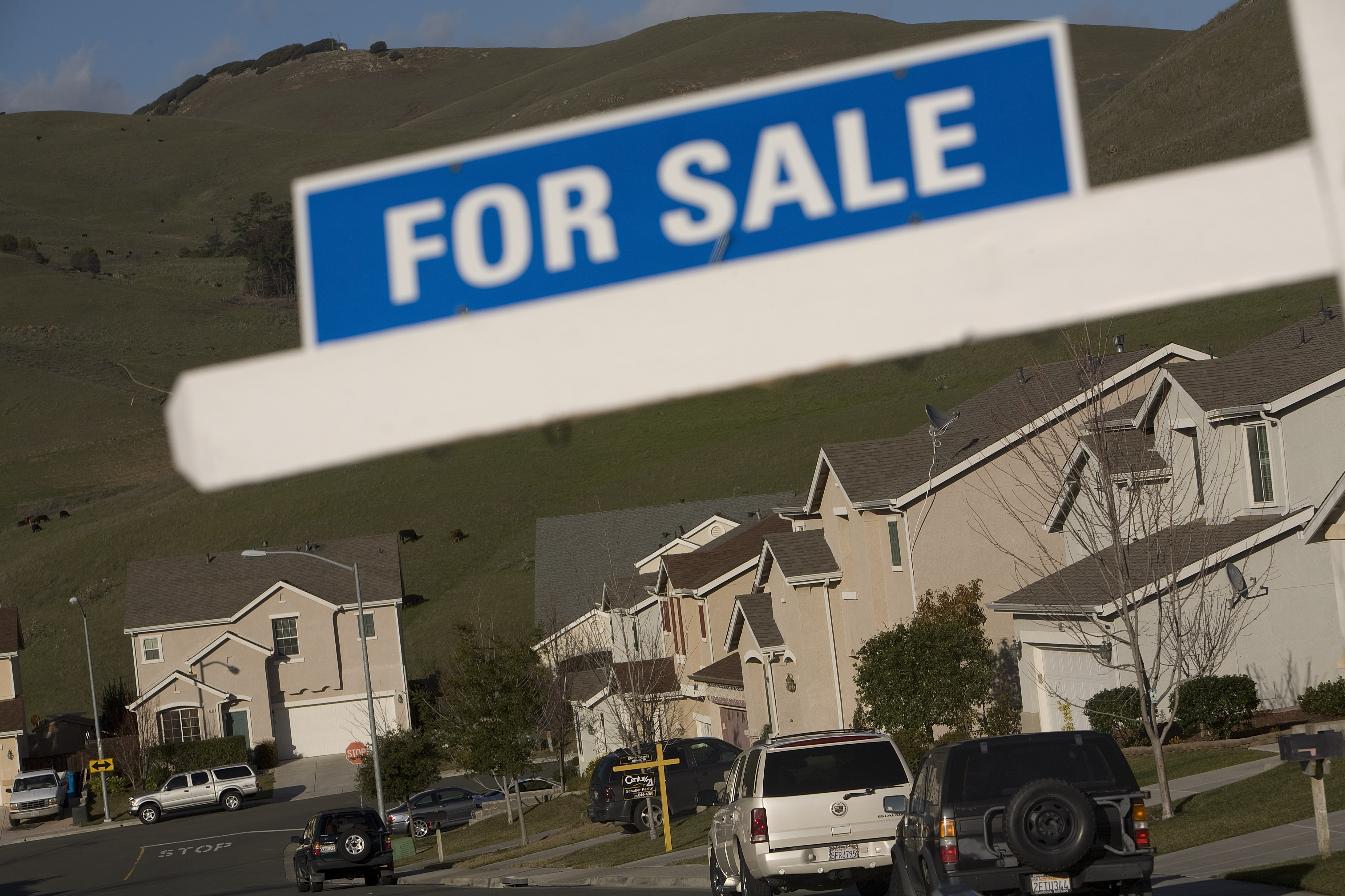 North Texas Home to the Hottest Property on the Internet