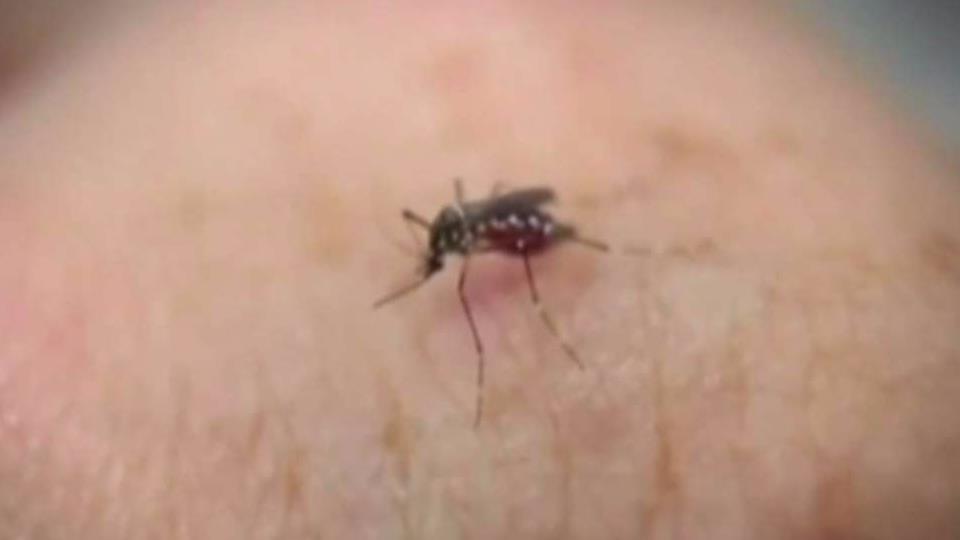 Tarrant County Reports First Human Case of West Nile Virus