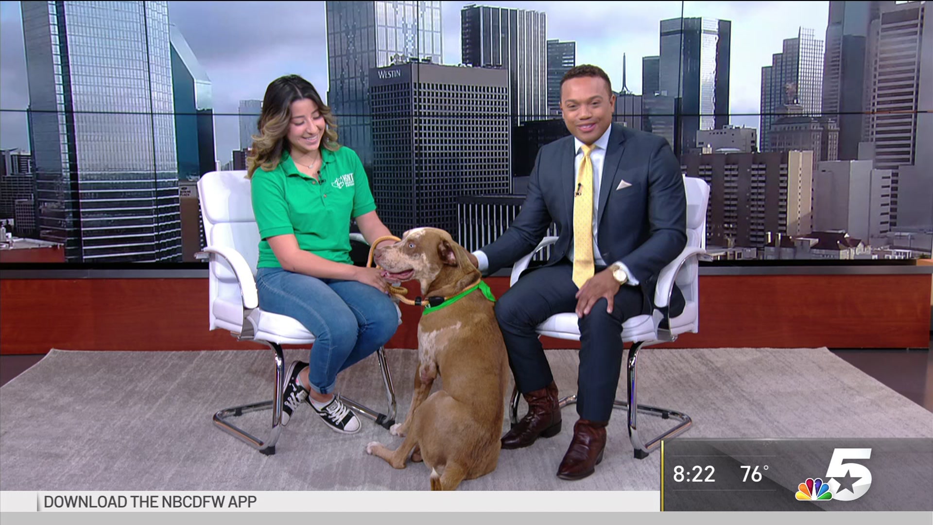 Pet of the Week: Russell, a Playful & Smart Catahoula Mix