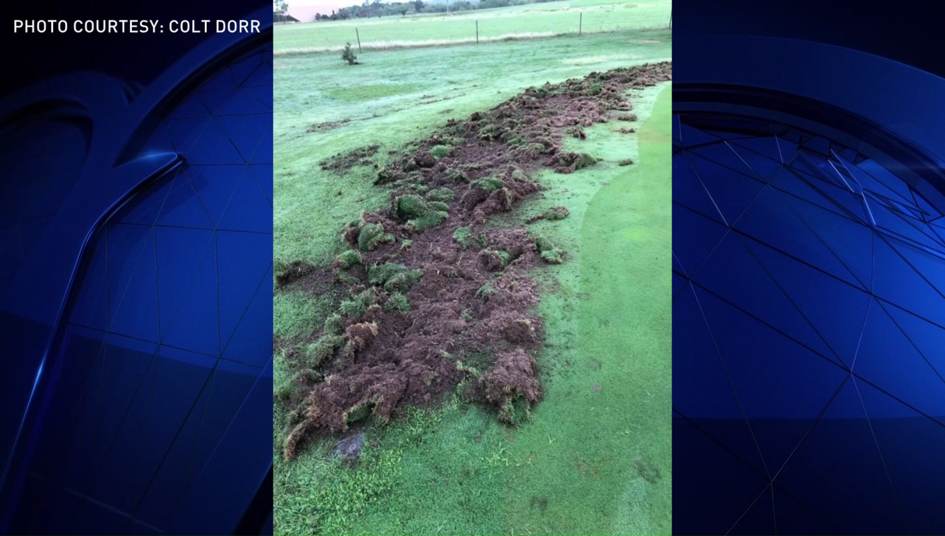 Feral Hogs Destroying North Texas Golf Course