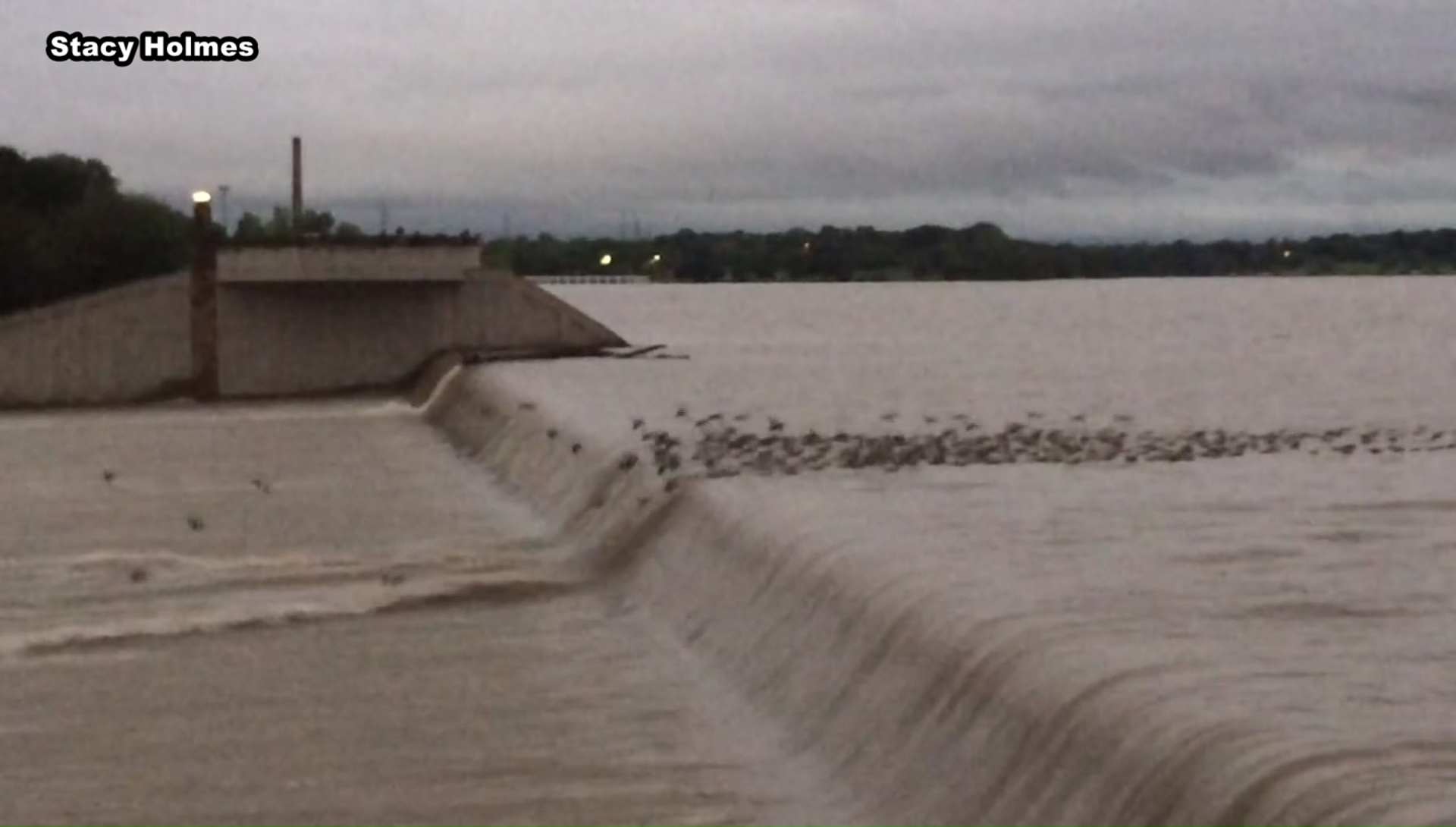 Ducks Enjoy Flooded White Rock Lake