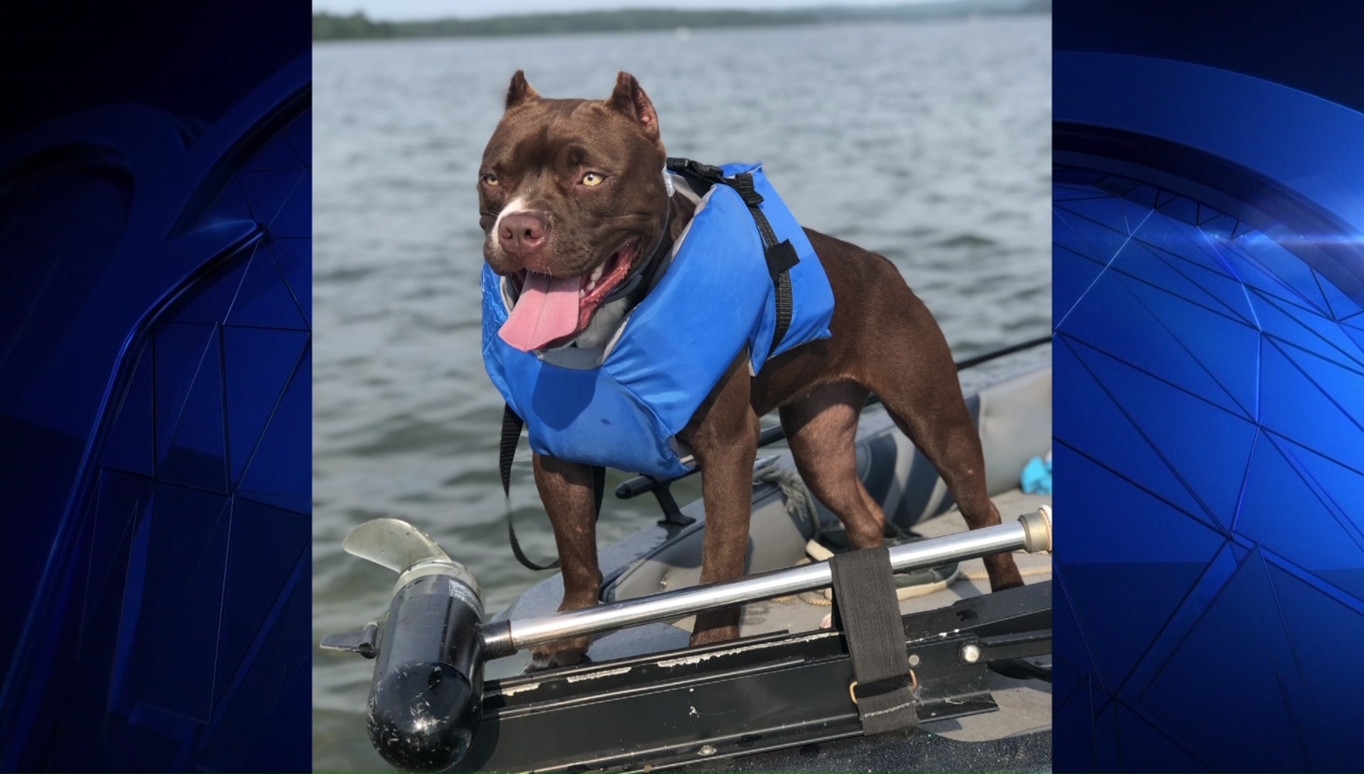 Dog Days of Summer - August 24, 2018