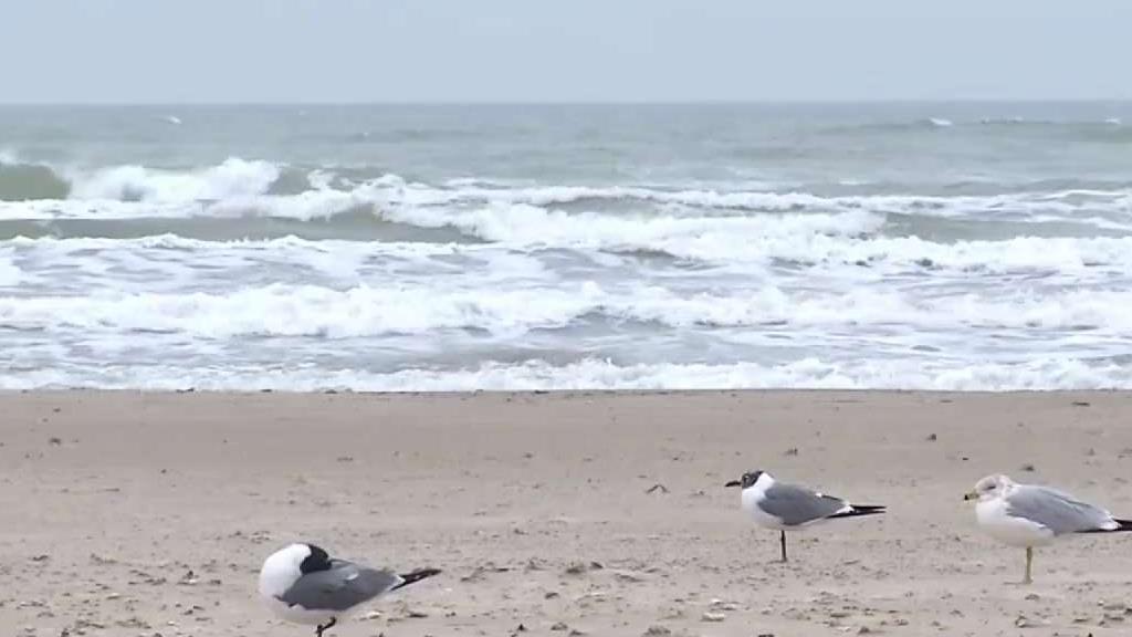 Port Aransas Welcomes Spring Break Crowd Post-Harvey