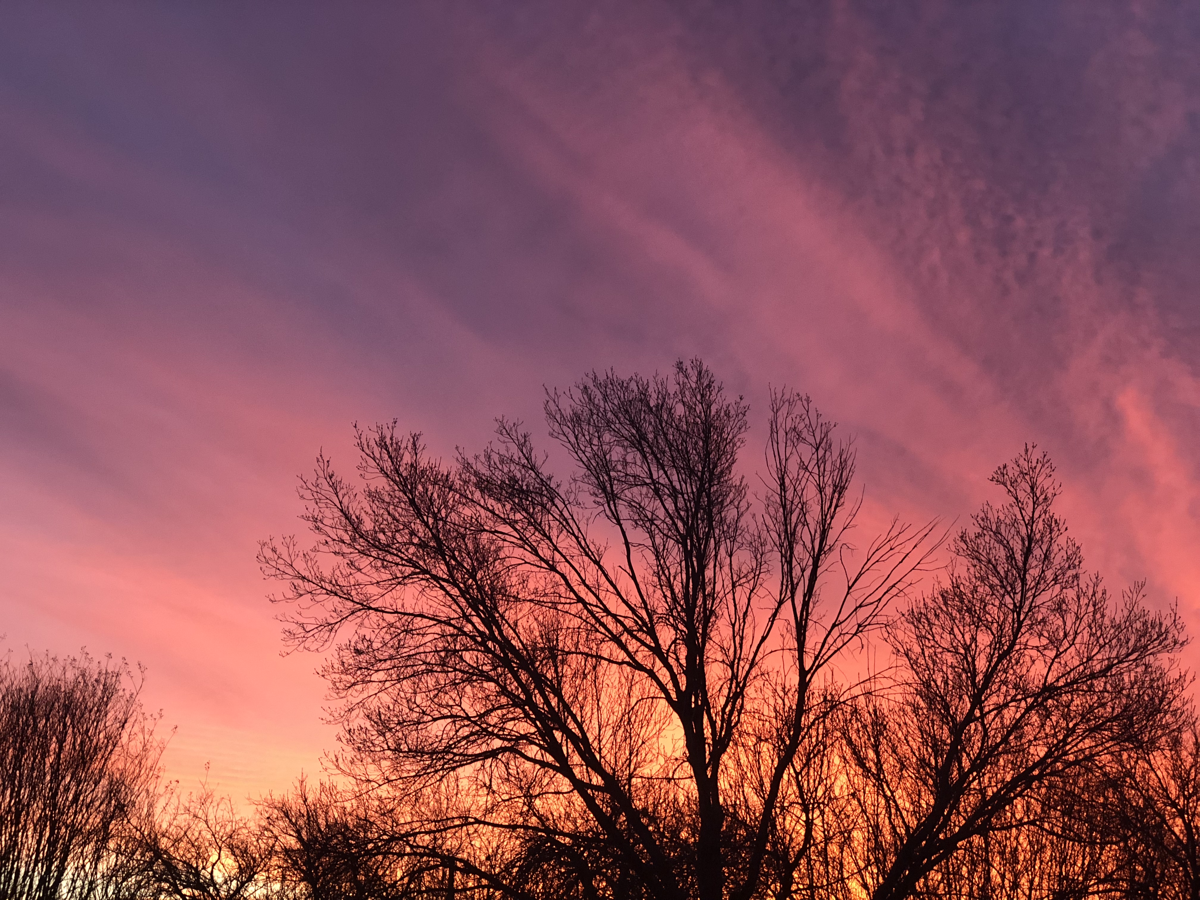 Gallery: Colorful Sunrise March 8