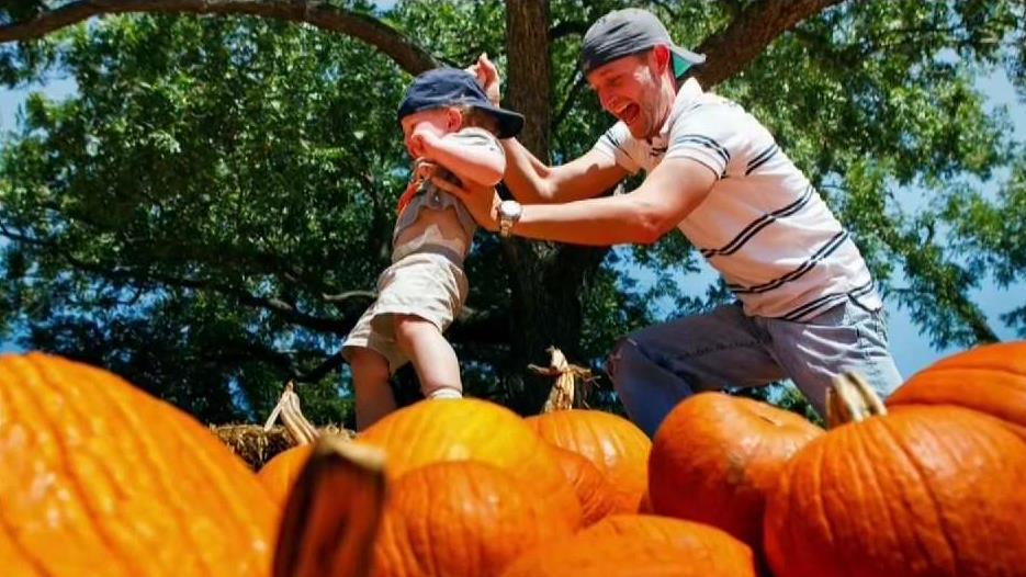 Sarah’s Weekend Picks Sept. 20-23
