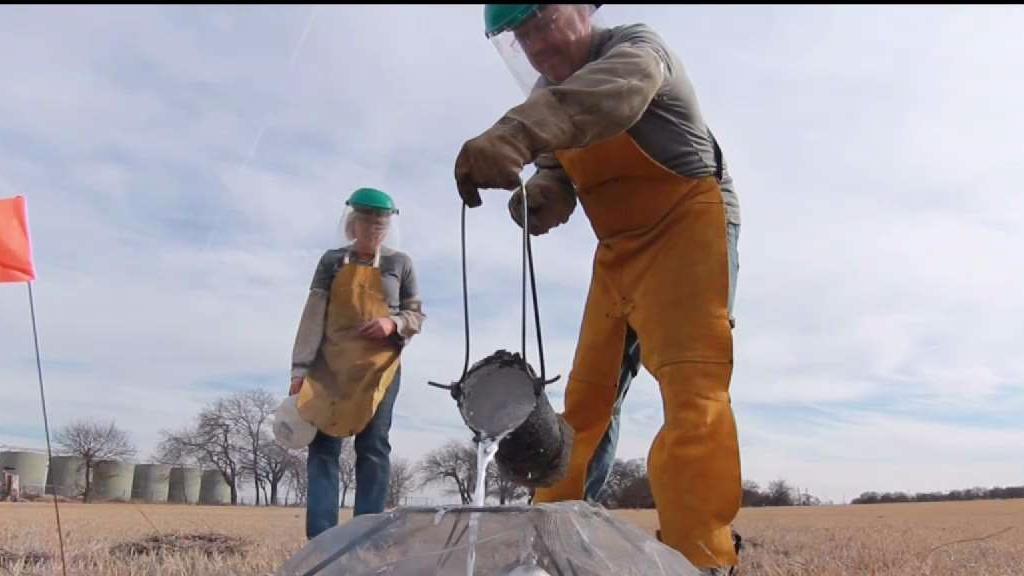 Texas Connects Us: Ant Art