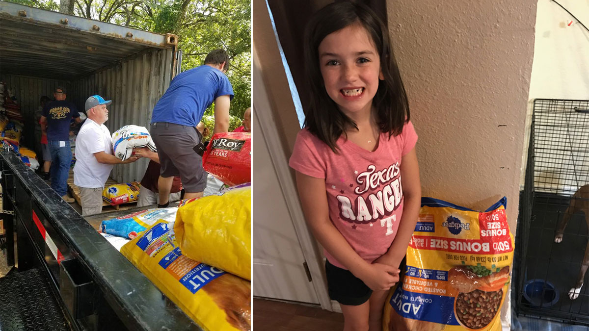 8-Year-Old Girl's Birthday Wish Prompts Pet Donations