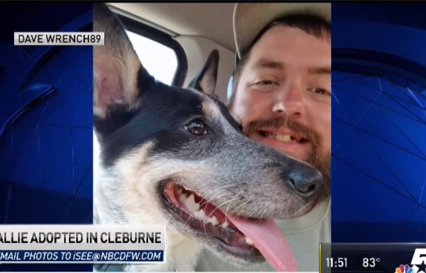 Clear the Shelters Adoptions - August 20, 2018