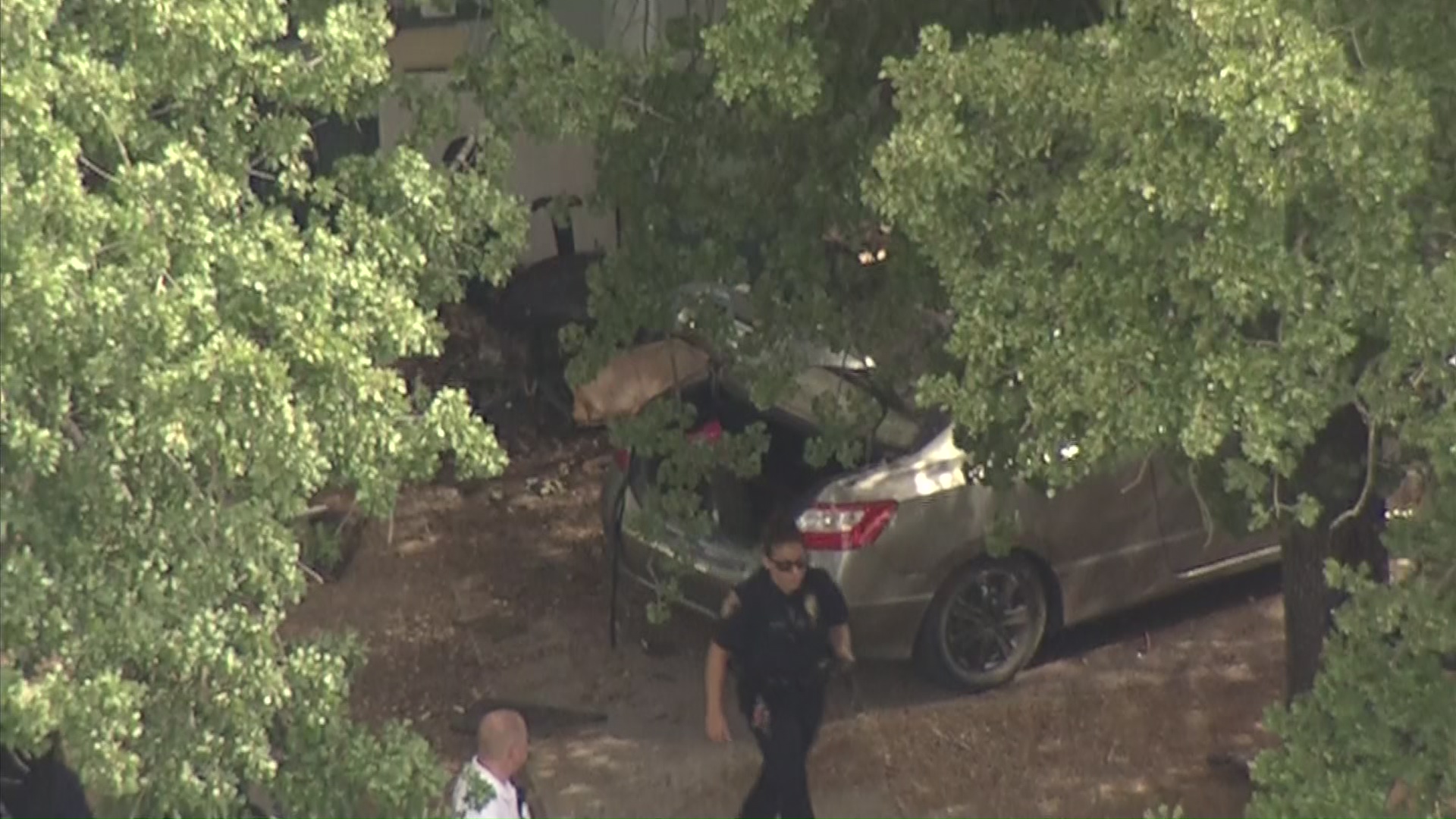 Car Crashes Into House, Catches Fire