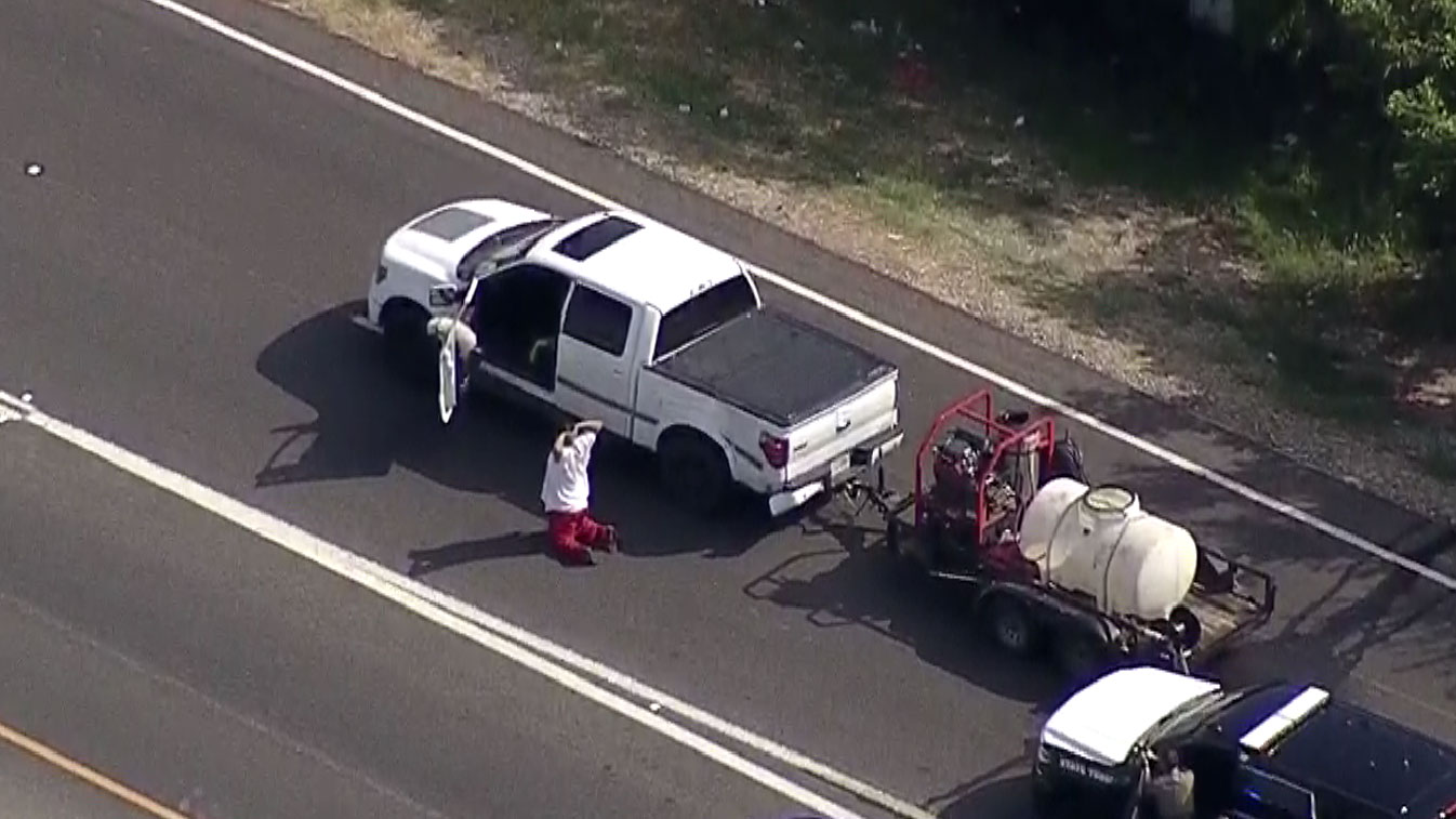 Man Surrenders After Police Chase; Dog Reunited With Owner