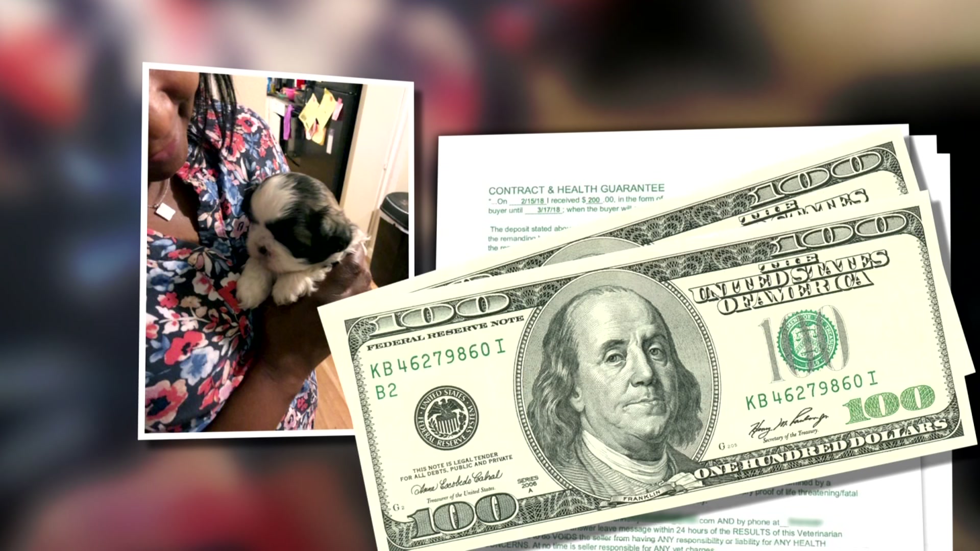 Dallas Woman Accused of Running 'Puppy Scheme' in Apartment