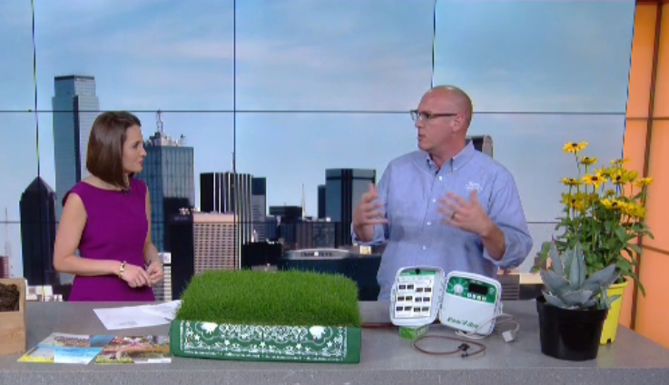 Can HOAs Stop You From Composting and Saving Water?