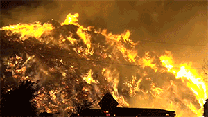 Raw: Huge Mound of Mulch Catches Fire in Dallas