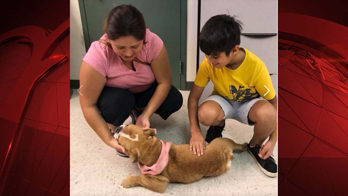 FW Family Reunited With Dog Year After She Was Stolen