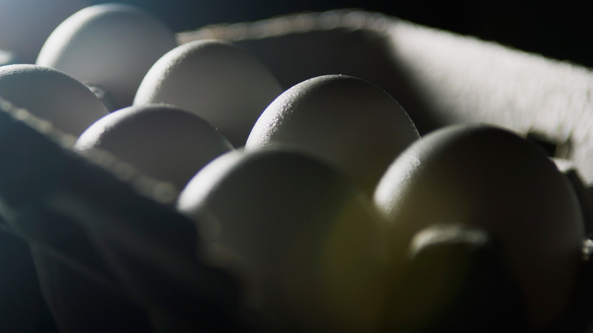 Consumer Reports: Eat Eggs For Your Health