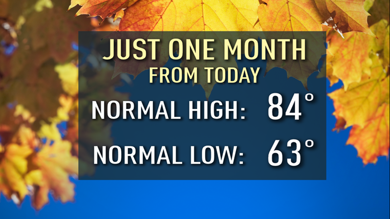 Which Temperature Is It: Normal Or Average?