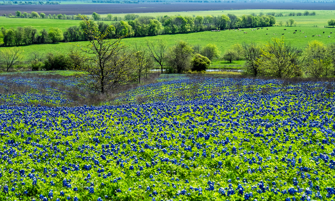 An Unusually Cool April