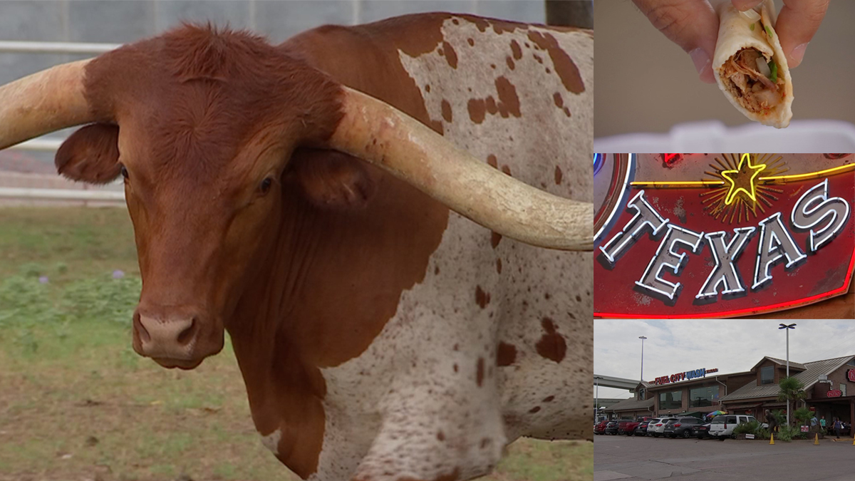 See & Do: Fuel City's Longhorns, Tacos, Gas for Every Texan