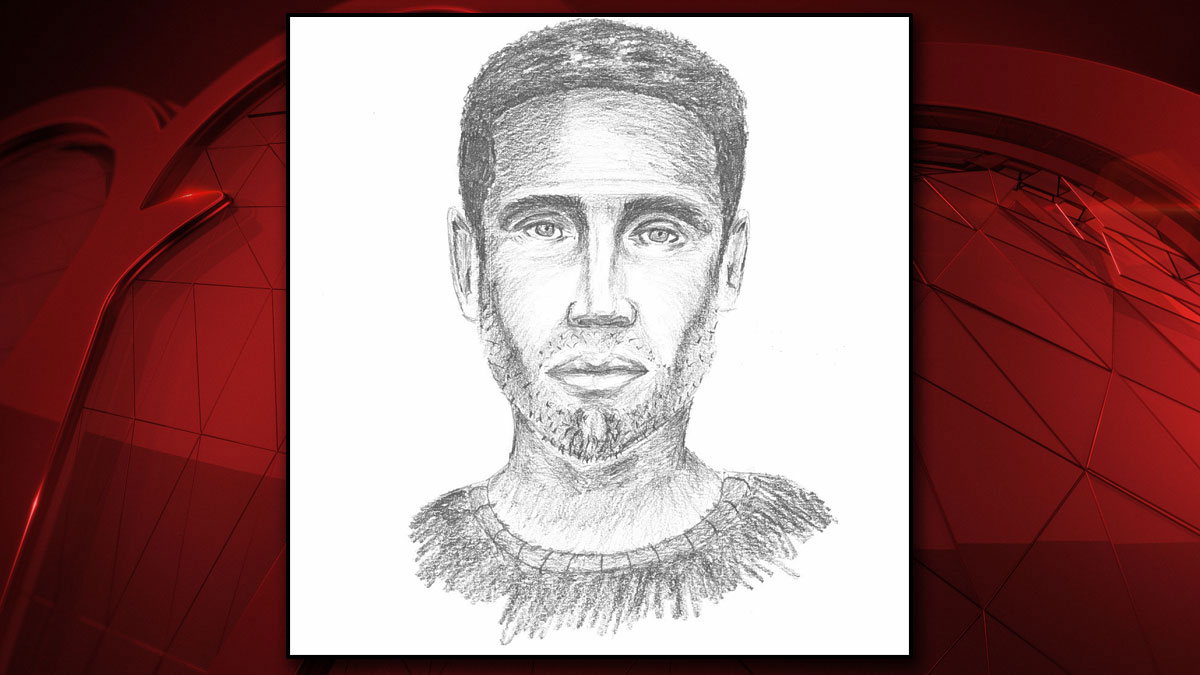 Girl Assaulted at Gunpoint in Garland, Sketch Released