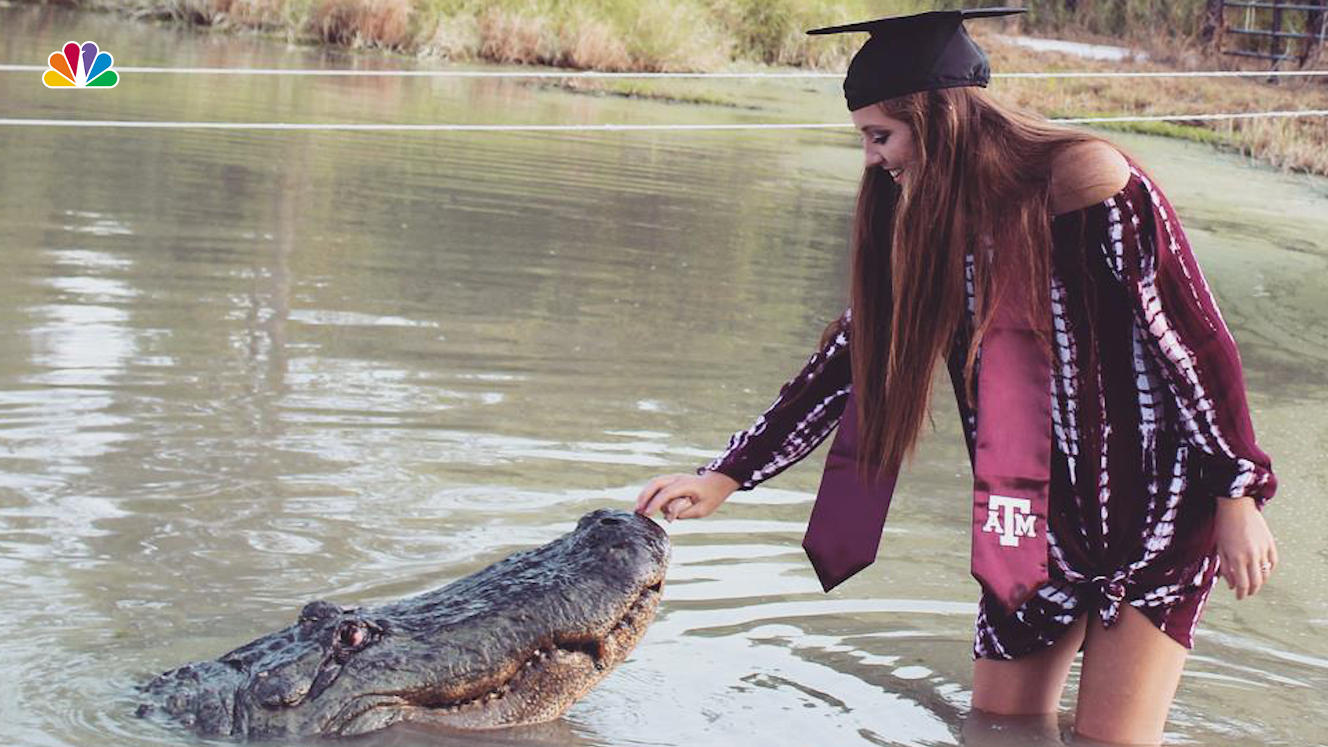 Texas A&M Student Takes Graduation Photos With Alligator