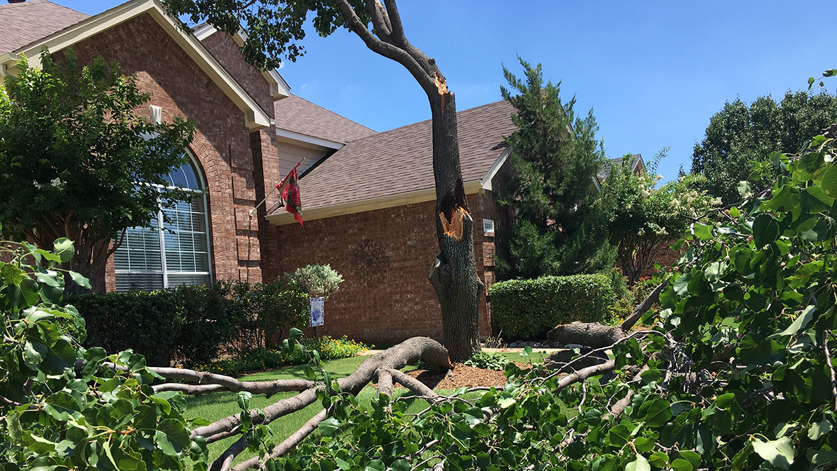 Storm Knocks Down Trees, Cuts Power in Highland Village