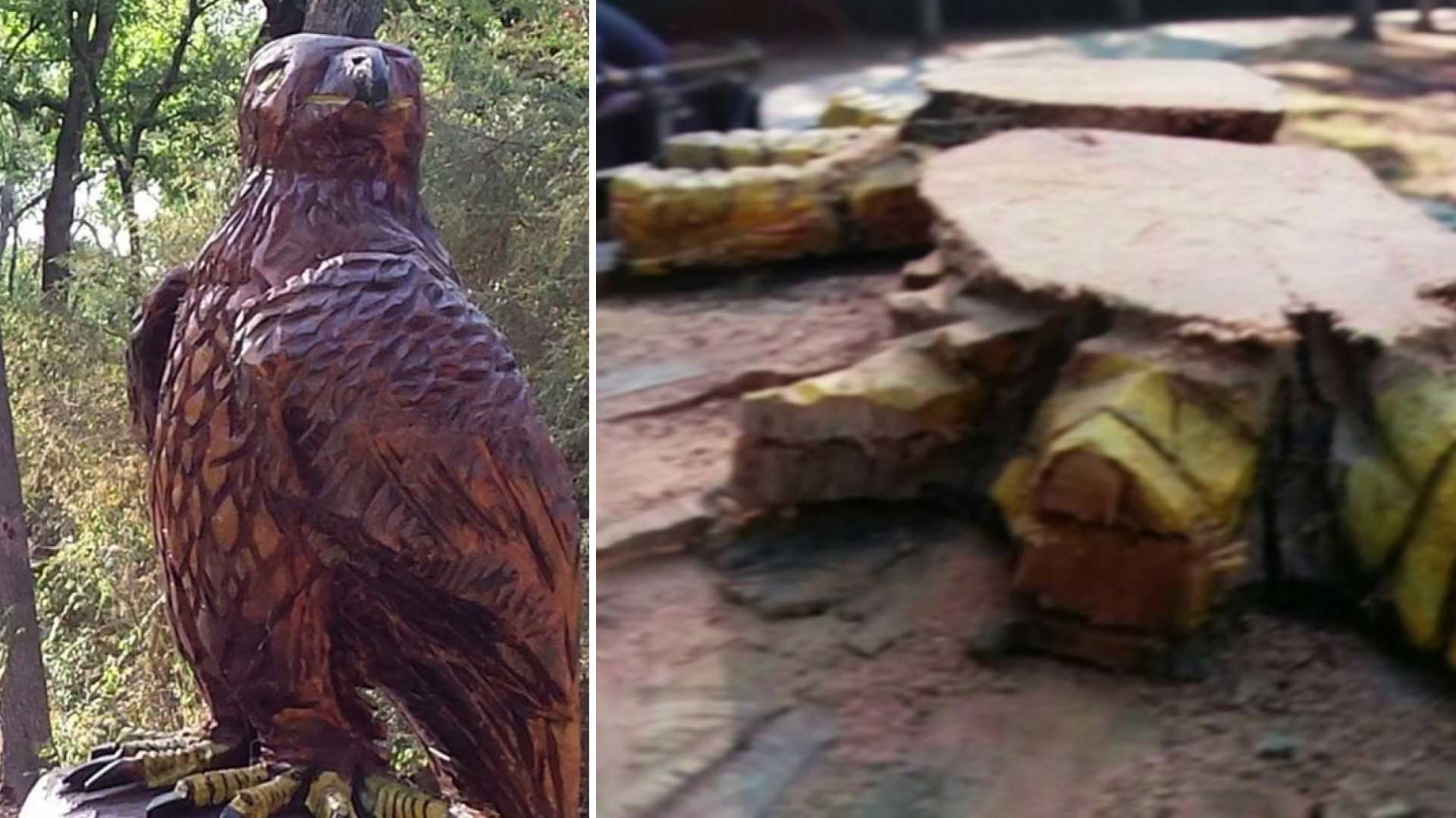 Wood Carved Eagle Statue Stolen From Irving Nature Trail