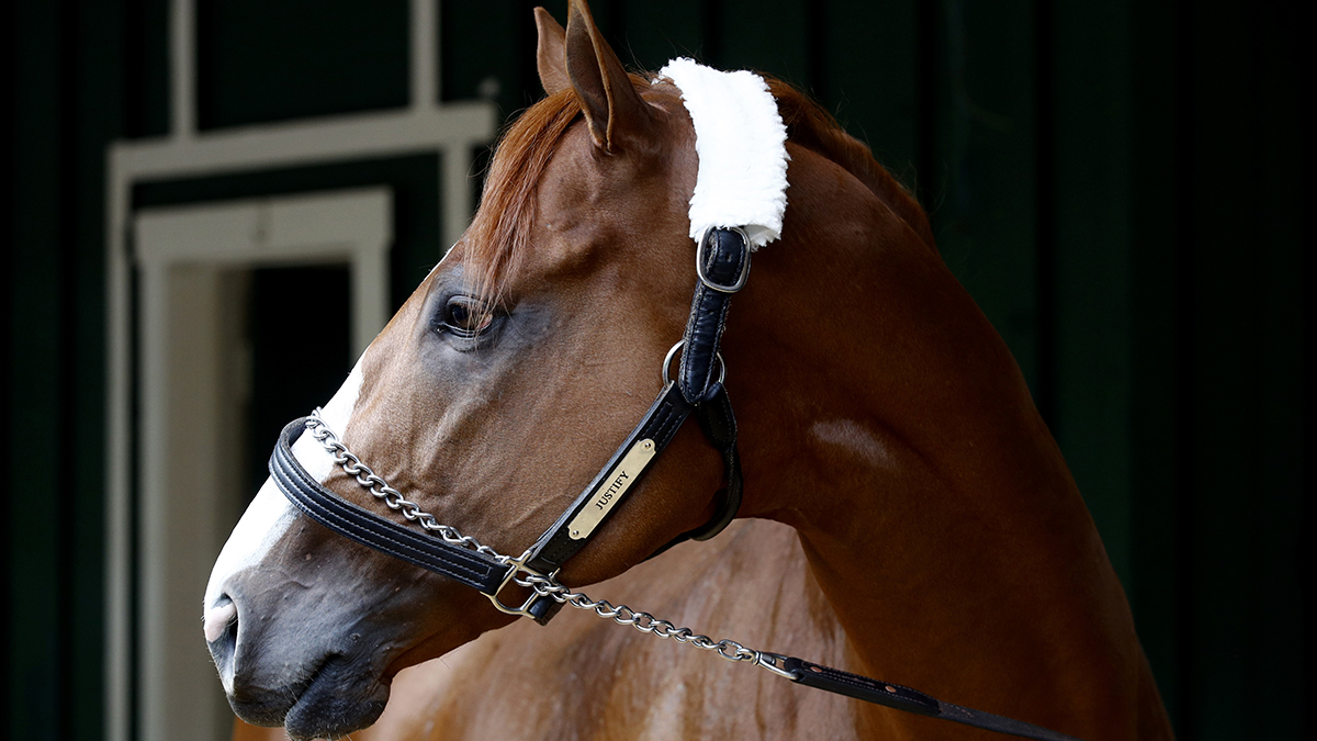 Justify Can Win Triple Crown: Hall of Fame Jockey Mike Smith