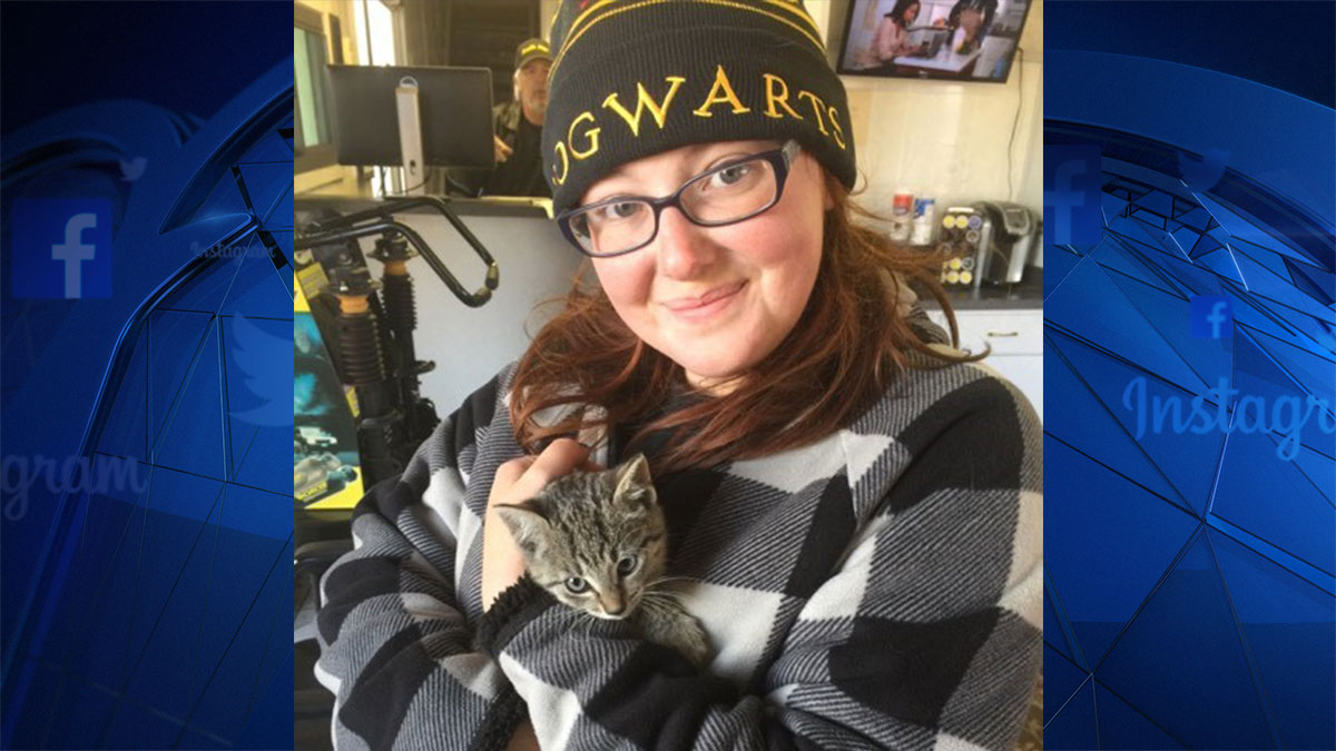 Kitten Rescued from Car Engine Compartment