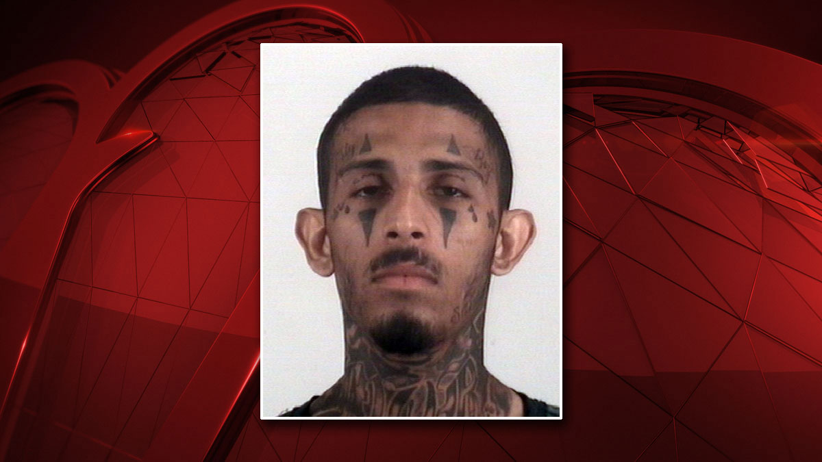 Man Faces Murder Charge After Grandmother Killed in Chase