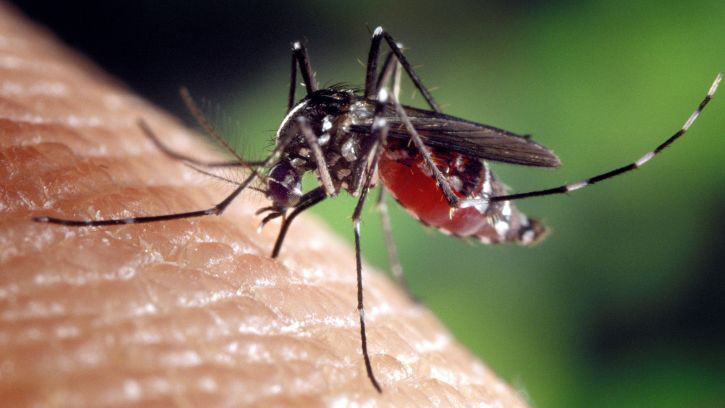 Crews in Tarrant County to Spray for Mosquitoes