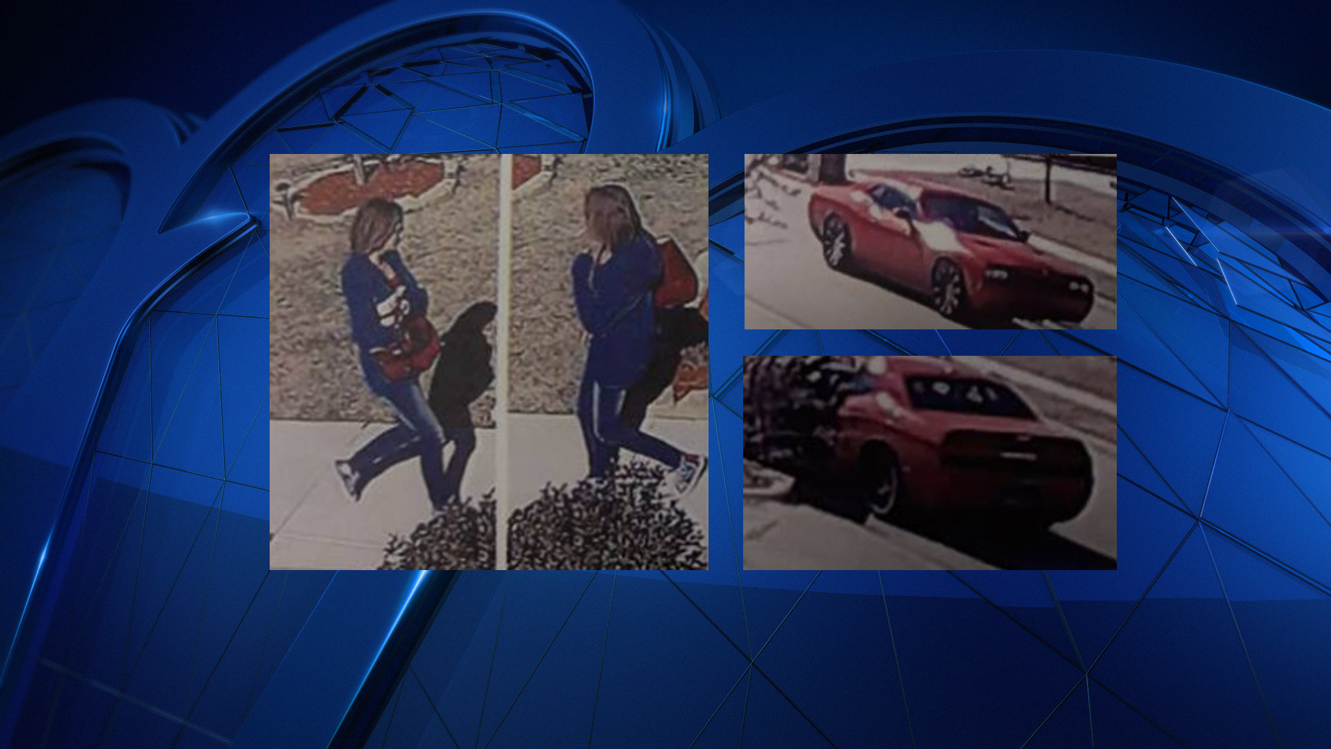 Amazon Package Thief Hits Collin County Neighborhood: Police