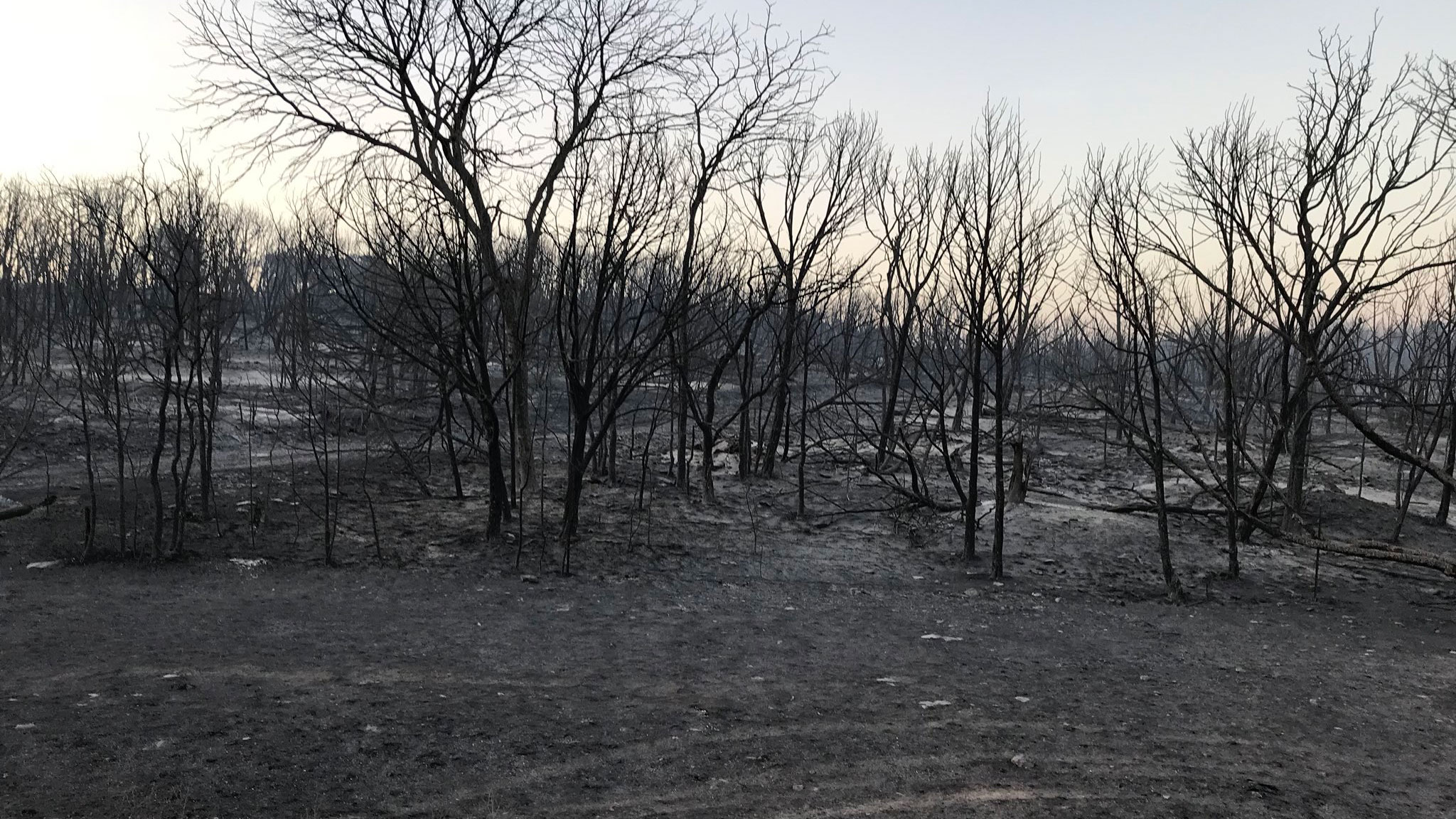 Firefighters Continue to Fight Palo Pinto County Fires