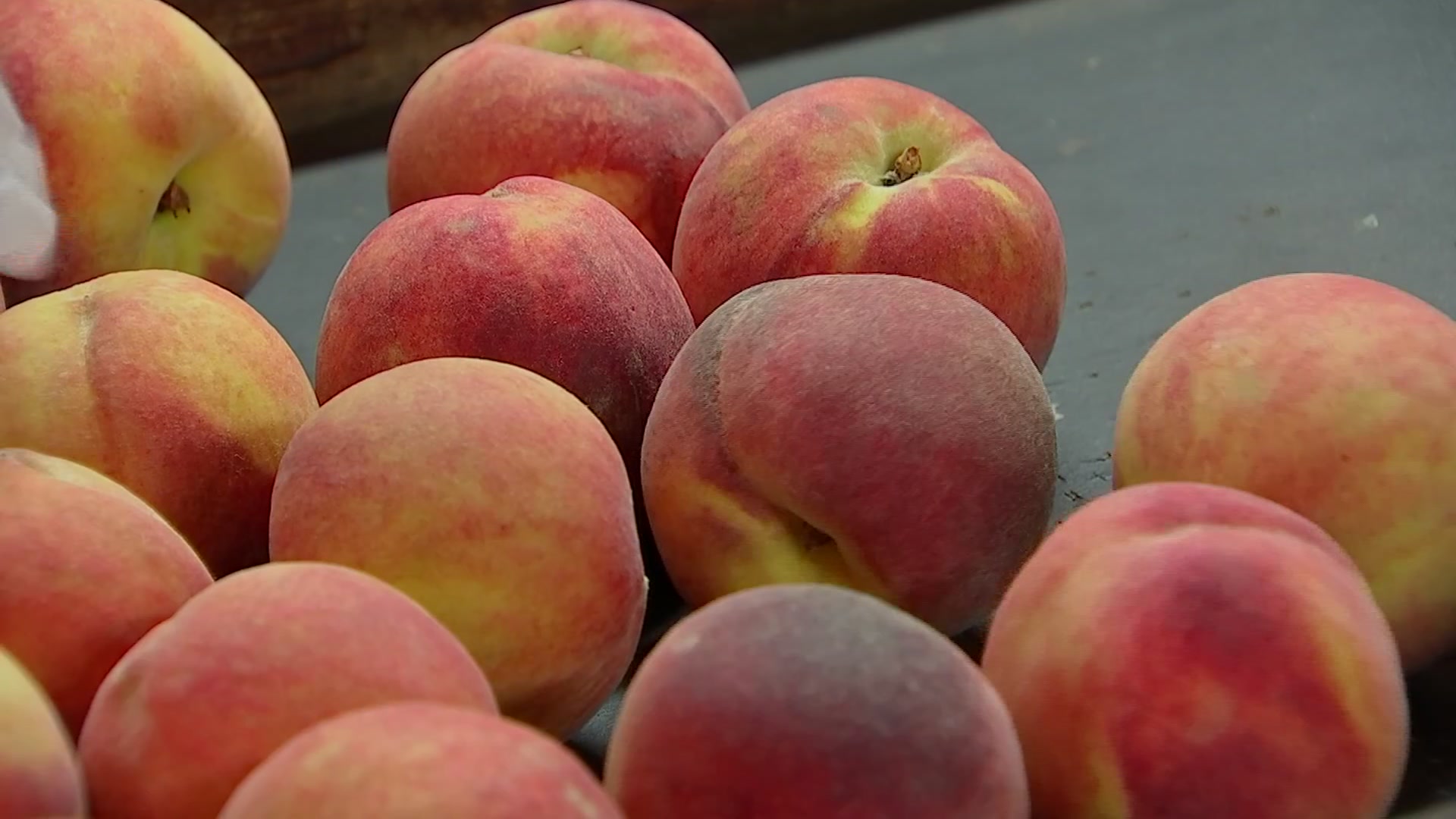 Why Parker County Peach Festival is the Best