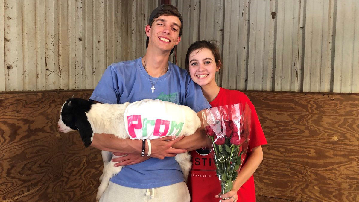 North Texas Teen Incorporates Goats Into 'Promposal'