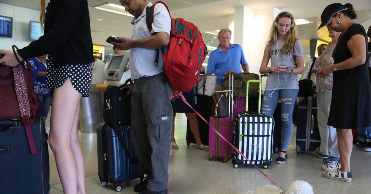 AA Tightens Leash on Emotional Support Animals