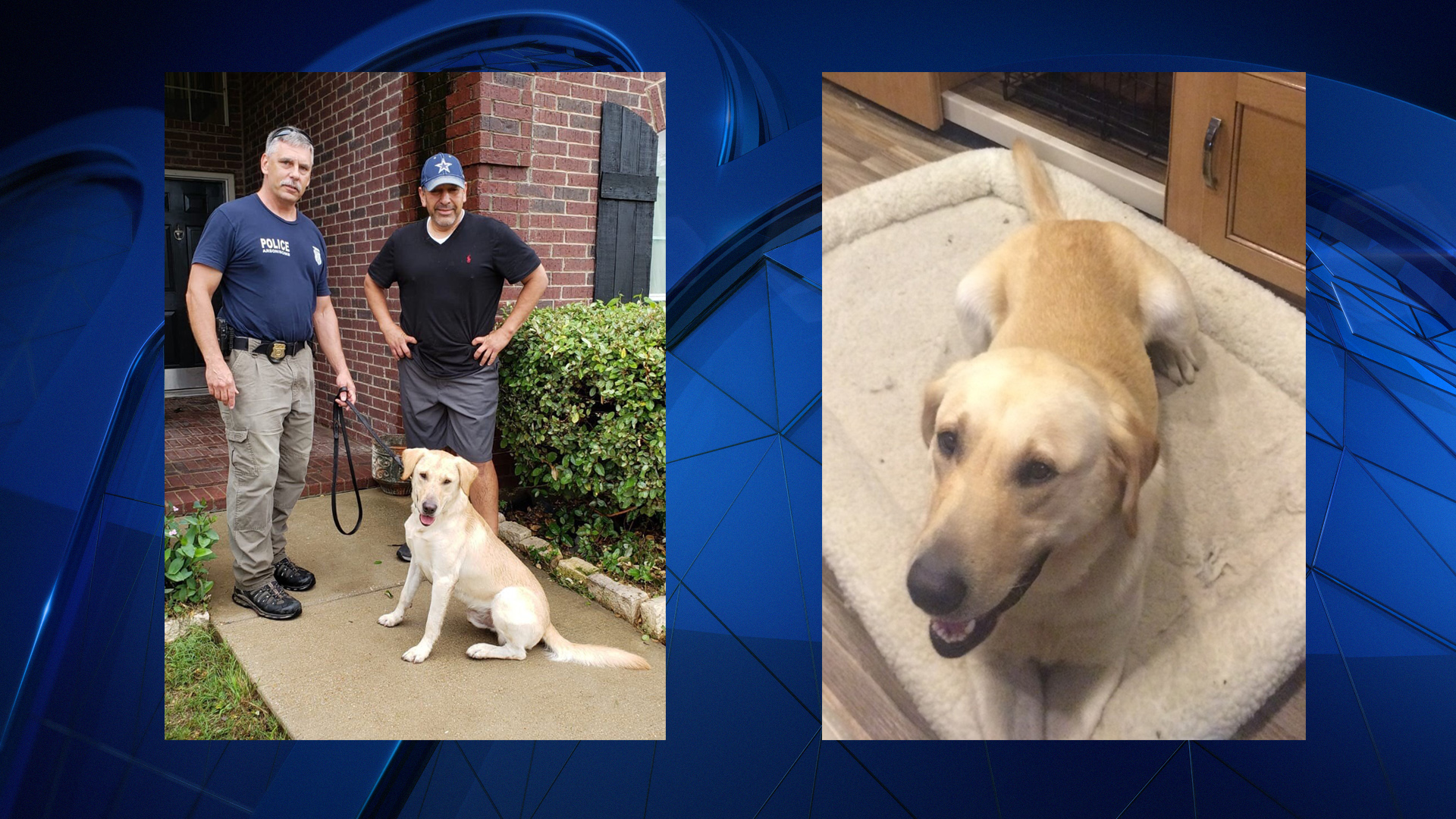 Missing Dog From Fort Worth Fire Dept. Is Found