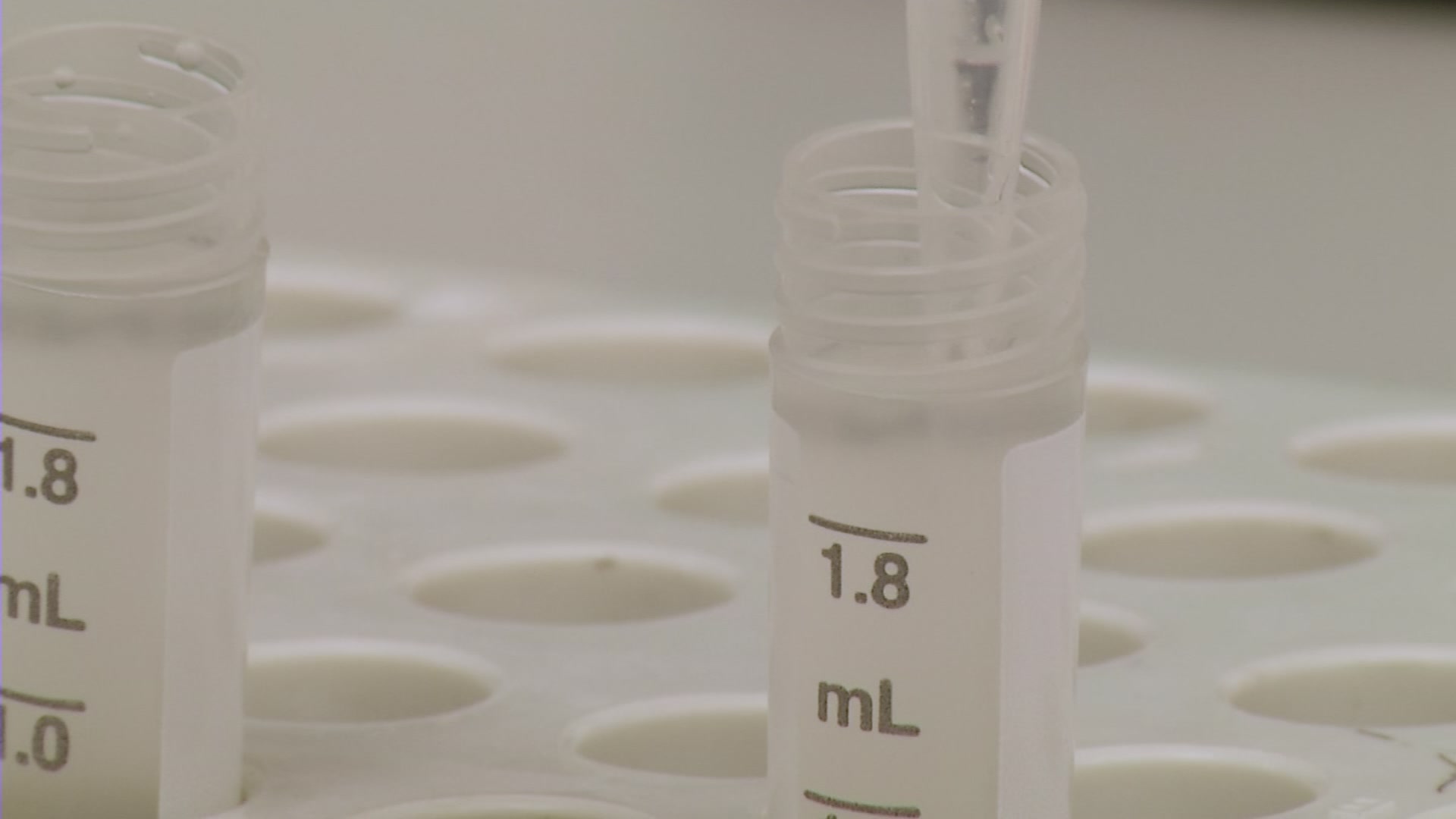 Researchers Testing Vaccine for Zika Virus